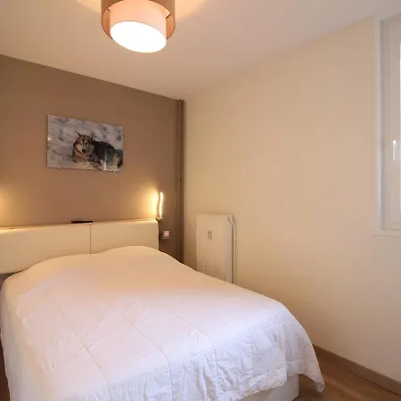 T2 Avec Balcon, Parking Privatif, Idealement Situe Au Mont-dore, Proche Centre Et Thermes - Fr-1-608-244 Daire Le Mont-Dore