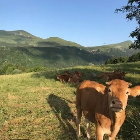 아파트 T2 Renove Avec Balcon Et Parking Au Mont-dore - Fr-1-608-244