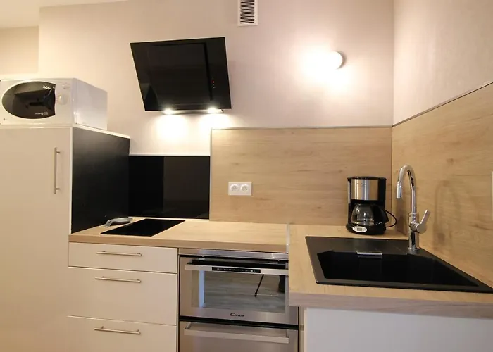 Апартаменты T2 Renove Avec Balcon Et Parking Au Mont-dore - Fr-1-608-244