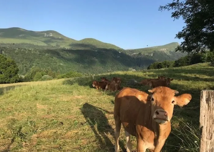 Апартаменты T2 Renove Avec Balcon Et Parking Au Mont-dore - Fr-1-608-244