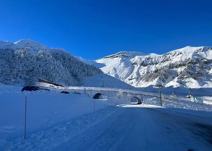 Апартаменты T2 Renove Avec Balcon Et Parking Au Mont-dore - Fr-1-608-244 *